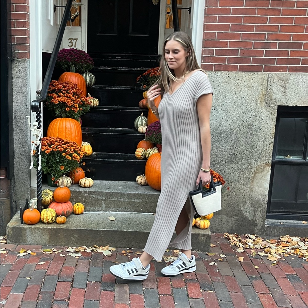 Z Supply Sweater Dress